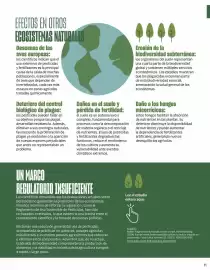 Catálogo Veritas Página 11