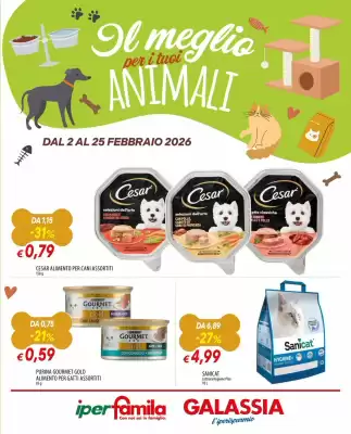 Volantino IperFamila (valido fino al 25-02)