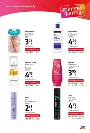 Dm Flugblatt Seite 3