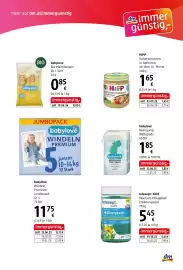 Dm Flugblatt Seite 7