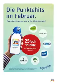 Dm Flugblatt Seite 8