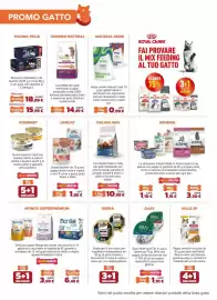 Volantino Joe Zampetti Pagina 6