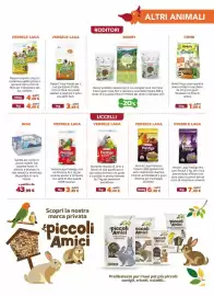 Volantino Joe Zampetti Pagina 9