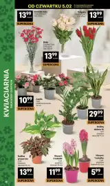 Delikatesy Centrum gazetka Strona 38