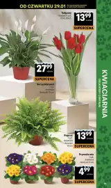 Delikatesy Centrum gazetka Strona 39