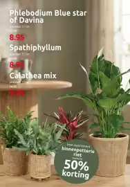 Deka Tuin folder Pagina 2