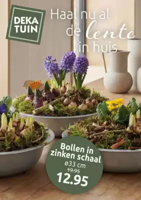 Deka Tuin folder (geldig t/m 15-02)