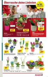 Toom Baumarkt Prospekt woche 6 Seite 3