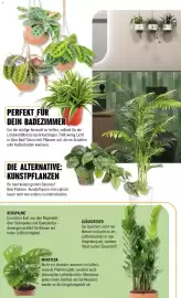 Hornbach Prospekt Seite 67