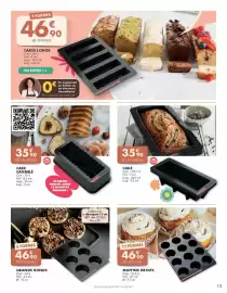 Catalogue Guy Demarle page 13