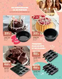 Catalogue Guy Demarle page 17