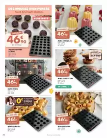 Catalogue Guy Demarle page 22