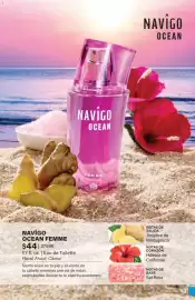 Catálogo JAFRA Página 113