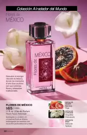 Catálogo JAFRA Página 88