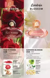 Catálogo JAFRA Página 96