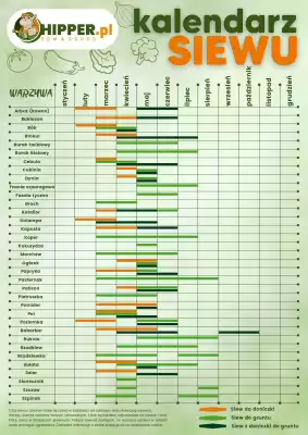 Hipper.pl gazetka (ważność do 31-12)
