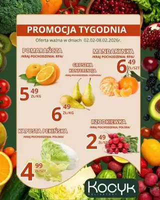 Delikatesy Kocyk gazetka (ważność do 8-02)