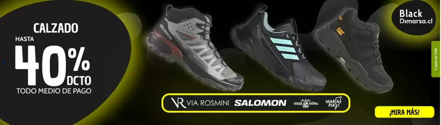 Catálogo Dimarsa (válido hasta 28-02)