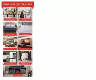 The Brick flyer Page 2