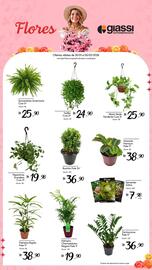 Encarte Giassi Supermercados semana 5 Página 2