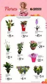 Encarte Giassi Supermercados semana 5 Página 1