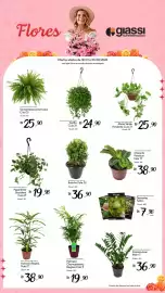 Encarte Giassi Supermercados semana 5 Página 2