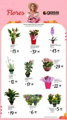 Encarte Giassi Supermercados (válido até 5-02)