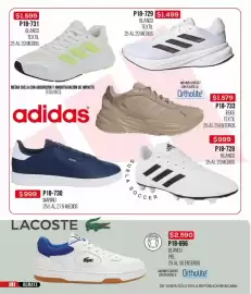 Catálogo Cklass Página 142