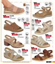 Catálogo Cklass Página 171