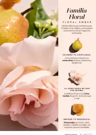 Catálogo Mary Kay Página 59