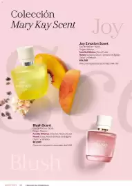 Catálogo Mary Kay Página 60