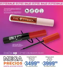 Catálogo Millanel Cosmética Página 106