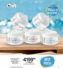 Catálogo Millanel Cosmética Página 17