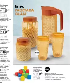 Catálogo Millanel Cosmética Página 172