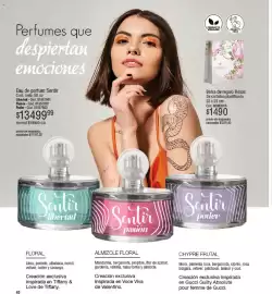 Catálogo Millanel Cosmética Página 40