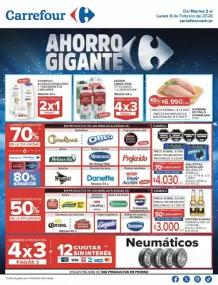 Catálogo Carrefour (válido hasta 10-02)