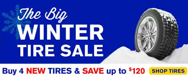 Mr Lube flyer Page 1