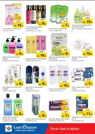 Last Chance flyer Page 10