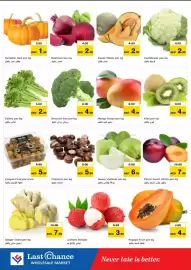 Last Chance flyer Page 2