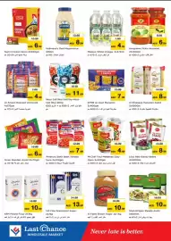 Last Chance flyer Page 5