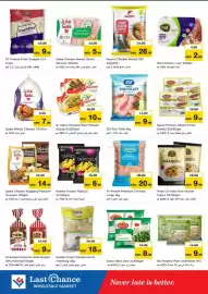 Last Chance flyer Page 8