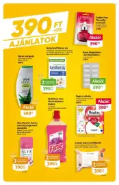 EcoFamily akciós újság Oldal 17