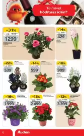 Auchan akciós újság Oldal 6