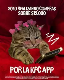 Catálogo KFC Página 3