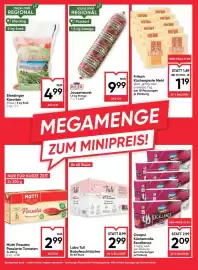 Maximarkt Flugblatt woche 6 Seite 18
