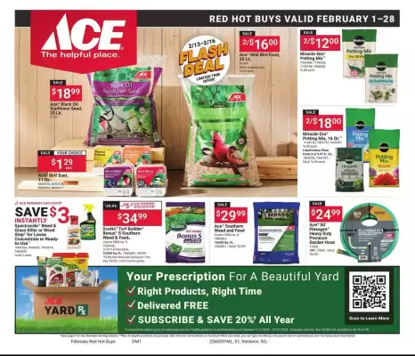 Ace Hardware flyer (valid until 28-02)