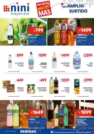 Catálogo Nini Mayorista semana 6 Página 12