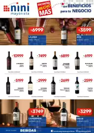 Catálogo Nini Mayorista semana 6 Página 14