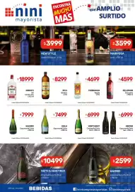 Catálogo Nini Mayorista semana 6 Página 16