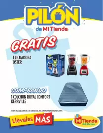 Folleto Mi Tienda del Ahorro Página 2